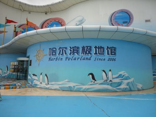 武汉极地海洋公园冰雪王国很冷吗?哈尔滨极地馆温度多少-图2 武汉极地海洋公园冰雪王国很冷吗?哈尔滨极地馆温度多少-图2