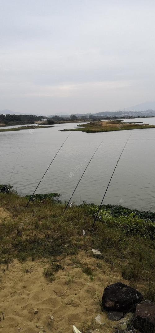 广东野钓气压多少度合适?今天惠州天气气压多少度-图2 广东野钓气压多少度合适?今天惠州天气气压多少度-图2