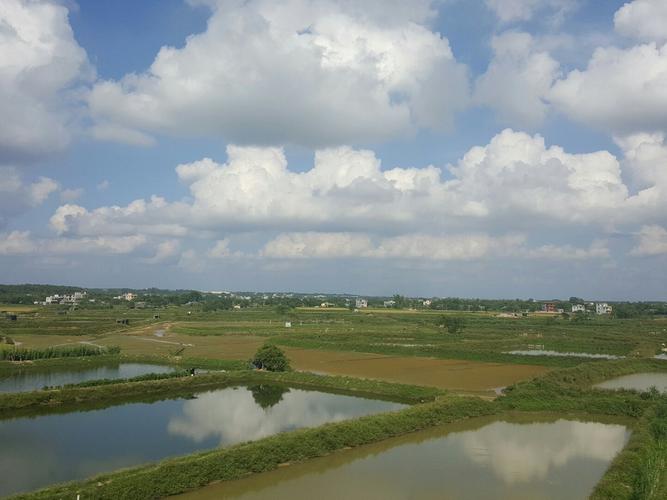 北海和合浦哪里潮湿?合浦和北海气温差多少-图2 北海和合浦哪里潮湿?合浦和北海气温差多少-图2