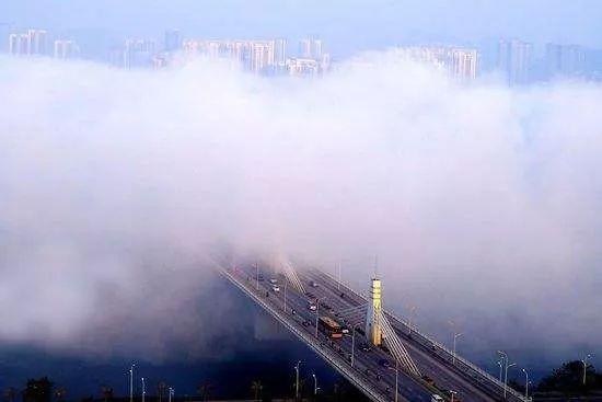 阜阳市什么时候成立?阜阳明天有多少米的雾-图3 阜阳市什么时候成立?阜阳明天有多少米的雾-图3