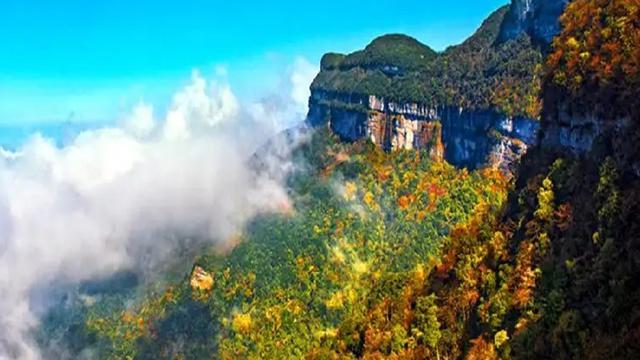 金佛山温度?重庆南川多少度温度-图1 金佛山温度?重庆南川多少度温度-图1