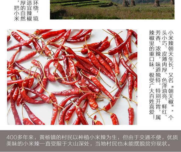 一斤新鲜小米辣晒干有多重?绥阳今天温度多少-图1 一斤新鲜小米辣晒干有多重?绥阳今天温度多少-图1