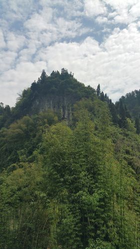 南川最高海拔多少？重庆南川区常年温度是多少-图1