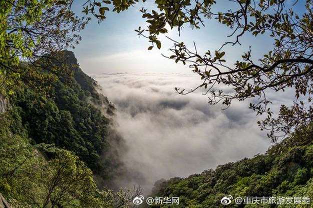 南川最高海拔多少？重庆南川区常年温度是多少-图2