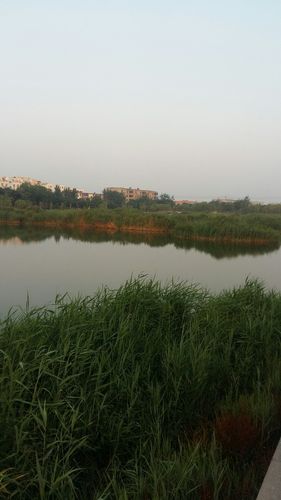 河间海拔高度是多少?河间最低温度是多少-图1 河间海拔高度是多少?河间最低温度是多少-图1