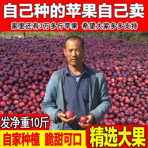 水果多少钱一斤?甘肃礼县今天多少度-图1 水果多少钱一斤?甘肃礼县今天多少度-图1