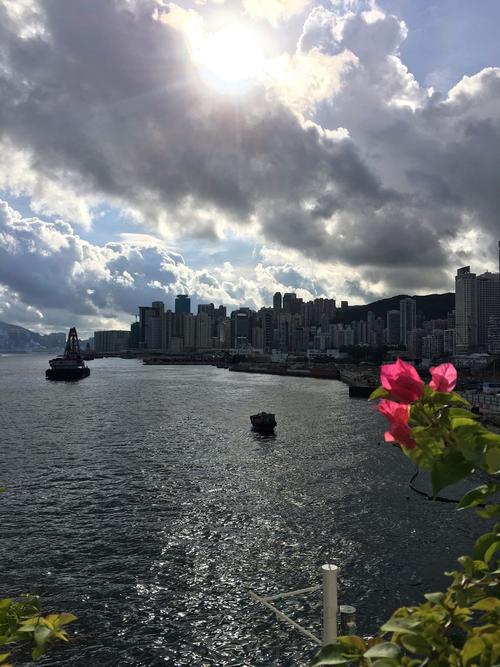 香港的气温比内地高多少?香港最高的气温是多少度-图1 香港的气温比内地高多少?香港最高的气温是多少度-图1