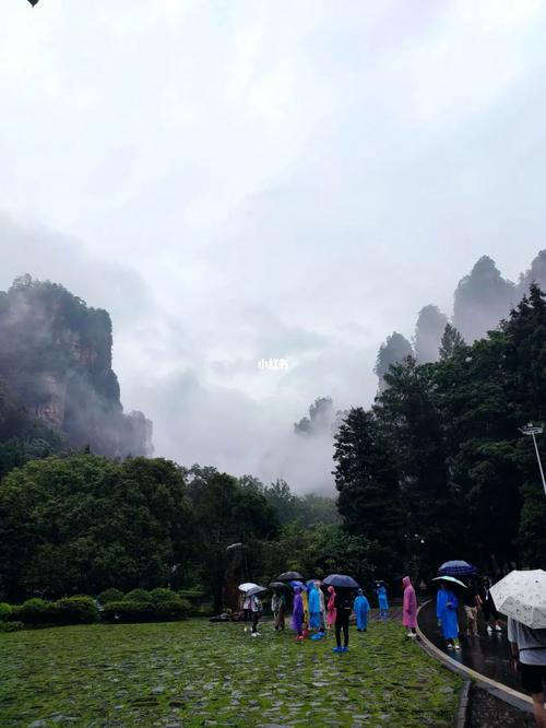 张家界今天下雨了吗?张家界在哪个省市现在气温多少-图2 张家界今天下雨了吗?张家界在哪个省市现在气温多少-图2