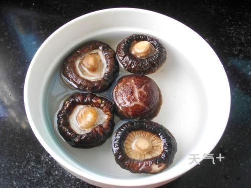 香菇怎么变干最快?福州的天气预热多少度-图3 香菇怎么变干最快?福州的天气预热多少度-图3