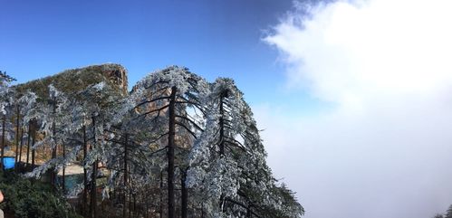 安徽黄山风景区温度?春节黄山的温度多少-图1 安徽黄山风景区温度?春节黄山的温度多少-图1