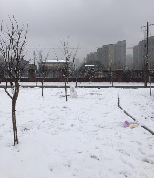 2020年淮南什么时候下雪的?11月份淮南大概多少度-图2 2020年淮南什么时候下雪的?11月份淮南大概多少度-图2