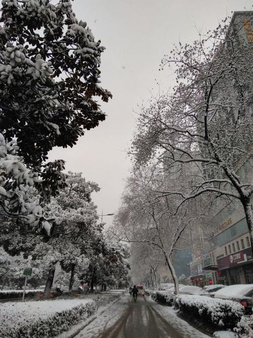 2020年淮南什么时候下雪的?11月份淮南大概多少度-图3 2020年淮南什么时候下雪的?11月份淮南大概多少度-图3