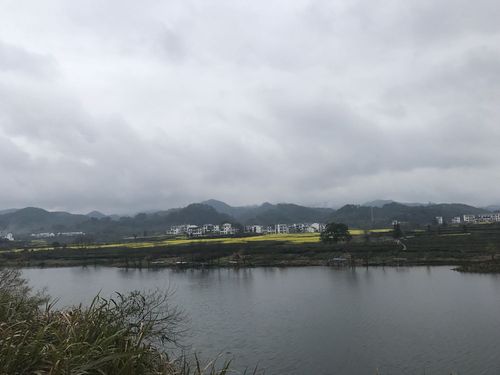 江西婺源15号16号两天的天气预报?16号的天气预报多少度-图1 江西婺源15号16号两天的天气预报?16号的天气预报多少度-图1