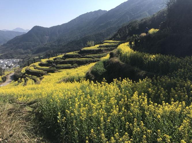 江西婺源15号16号两天的天气预报?16号的天气预报多少度-图3 江西婺源15号16号两天的天气预报?16号的天气预报多少度-图3