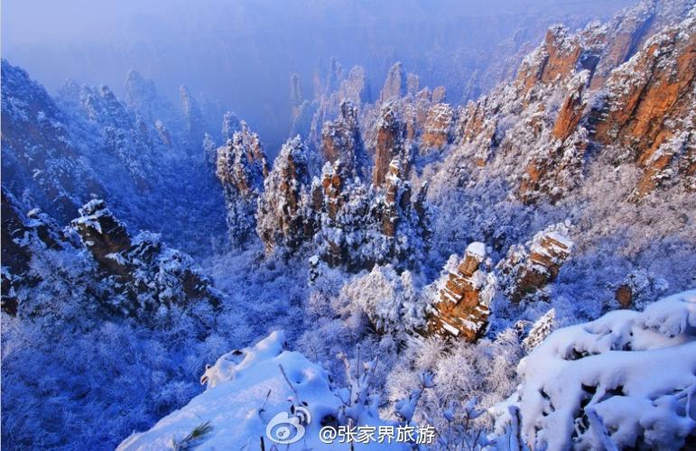 张家界38度热吗?2008年张家界最低温度多少-图2 张家界38度热吗?2008年张家界最低温度多少-图2