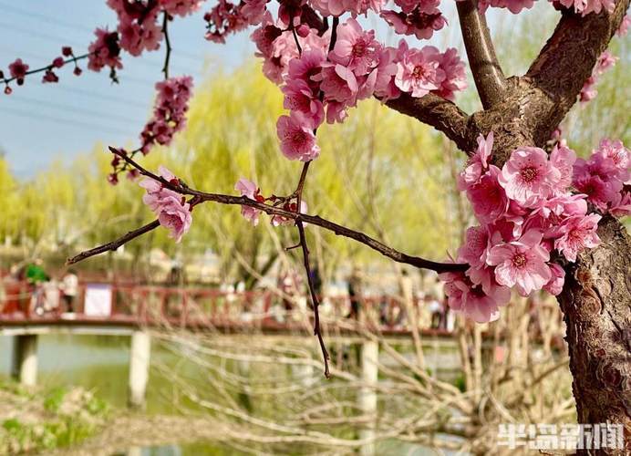 春暖花开一般几度?4月20号气温是多少号-图3 春暖花开一般几度?4月20号气温是多少号-图3