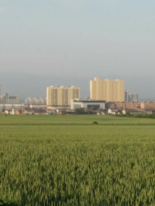 陕西省宝鸡市市区的海拔高度是多少米?宝鸡今天的温度是多少-图3 陕西省宝鸡市市区的海拔高度是多少米?宝鸡今天的温度是多少-图3