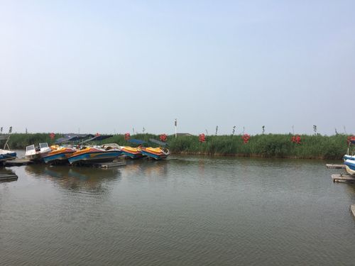 曹妃甸湿地公园适合什么季节去?曹妃甸天气最冷多少度-图2 曹妃甸湿地公园适合什么季节去?曹妃甸天气最冷多少度-图2