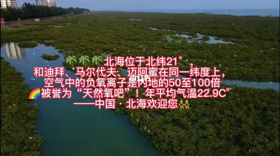 北海负氧离子在全国排名?北海空气指数是多少钱-图1 北海负氧离子在全国排名?北海空气指数是多少钱-图1