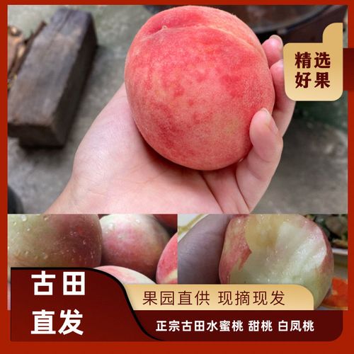 古田桃怎么保存?古田现在多少度-图3 古田桃怎么保存?古田现在多少度-图3