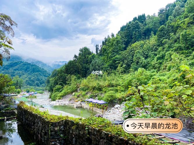 龙池养殖方法?峨眉龙池天气多少度-图3 龙池养殖方法?峨眉龙池天气多少度-图3