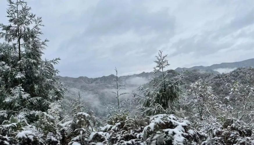 2021多久下雪贵州?贵州11月17日温度多少时间-图2 2021多久下雪贵州?贵州11月17日温度多少时间-图2