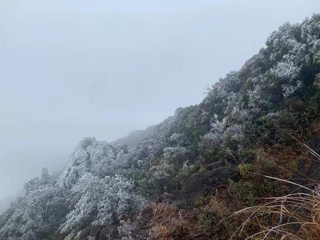 广东有哪些地方冬天会下雪?广东省清远市阳山县天气温度多少度-图3 广东有哪些地方冬天会下雪?广东省清远市阳山县天气温度多少度-图3