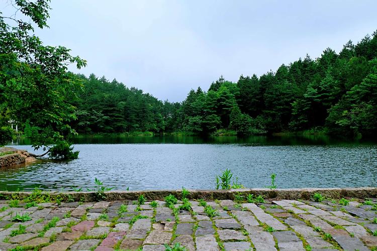 绿树成荫什么季节?湖南韶山气温冷吗 有多少度-图3 绿树成荫什么季节?湖南韶山气温冷吗 有多少度-图3