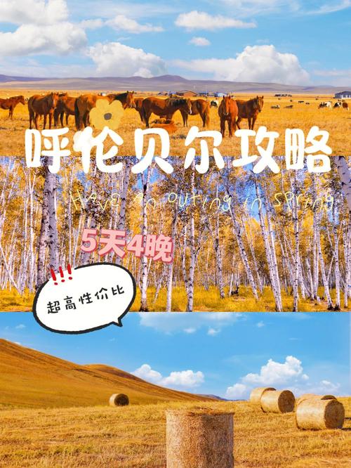 海拉尔现在什么温度,穿什么衣服合适旅游?海拉尔现在温度多少钱-图1 海拉尔现在什么温度,穿什么衣服合适旅游?海拉尔现在温度多少钱-图1