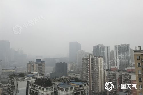 重庆有雨今天飞机能否起飞?重庆今天有没有雨多少度-图1 重庆有雨今天飞机能否起飞?重庆今天有没有雨多少度-图1
