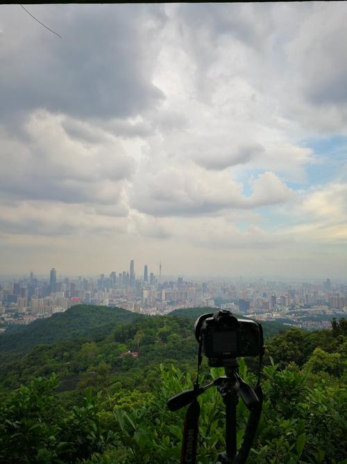 广州白云山山顶冷吗?广州白云区今天气温多少度-图3 广州白云山山顶冷吗?广州白云区今天气温多少度-图3