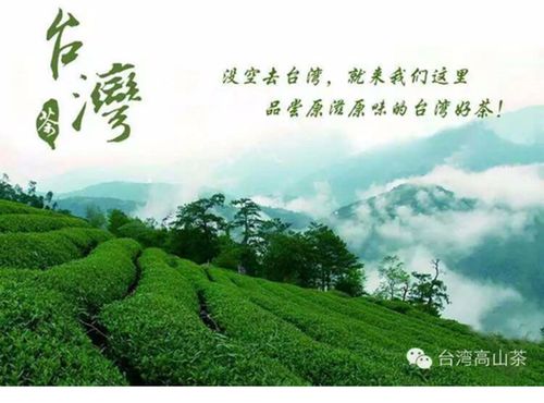 阿里山乌龙茶制作工艺?明天阿里山的温度是多少-图3 阿里山乌龙茶制作工艺?明天阿里山的温度是多少-图3