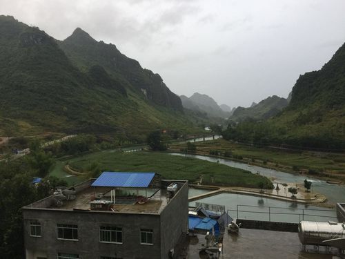 巴马全年气温?广西巴马的气温是多少-图2 巴马全年气温?广西巴马的气温是多少-图2