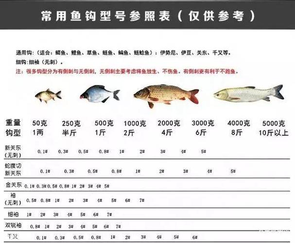 钓鱼一般钩要下多深?垂钓指数多少适合钓鱼-图1 钓鱼一般钩要下多深?垂钓指数多少适合钓鱼-图1