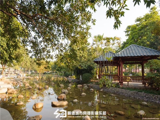 容桂花溪公园面积?花溪公园一圈多少公里-图2 容桂花溪公园面积?花溪公园一圈多少公里-图2