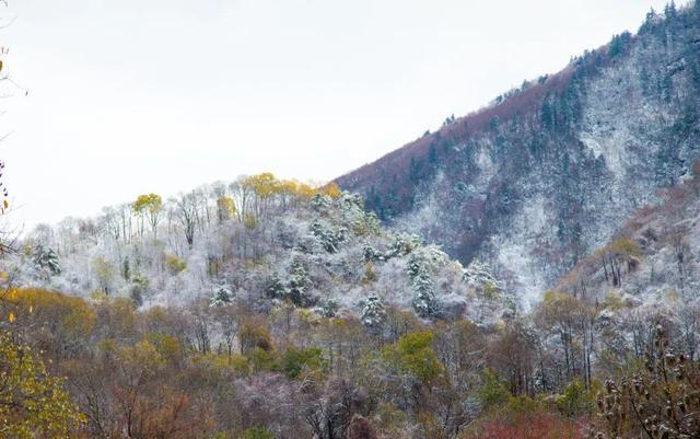 陇南一年四季的气候?陇南冬季最低温度是多少-图2 陇南一年四季的气候?陇南冬季最低温度是多少-图2