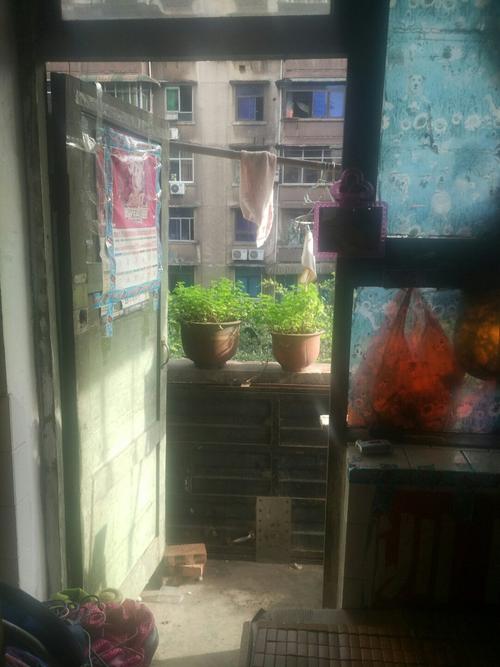 大渡口跃进村拆了以后建什么？大渡口今天天气预报是多少-图1
