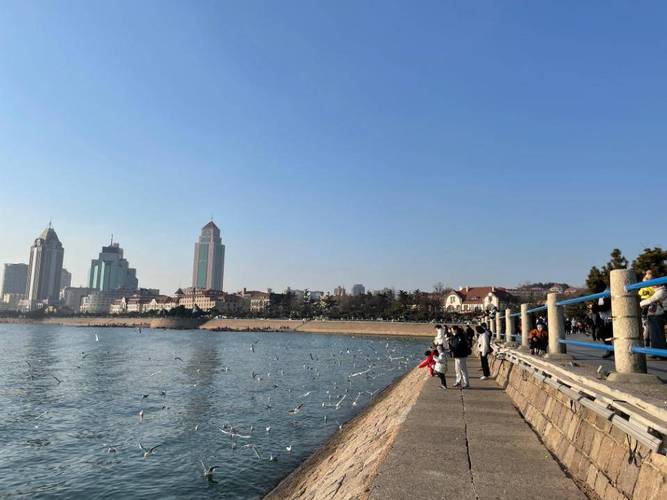 青岛1号至10号气候情况?青岛多少度明天-图2 青岛1号至10号气候情况?青岛多少度明天-图2