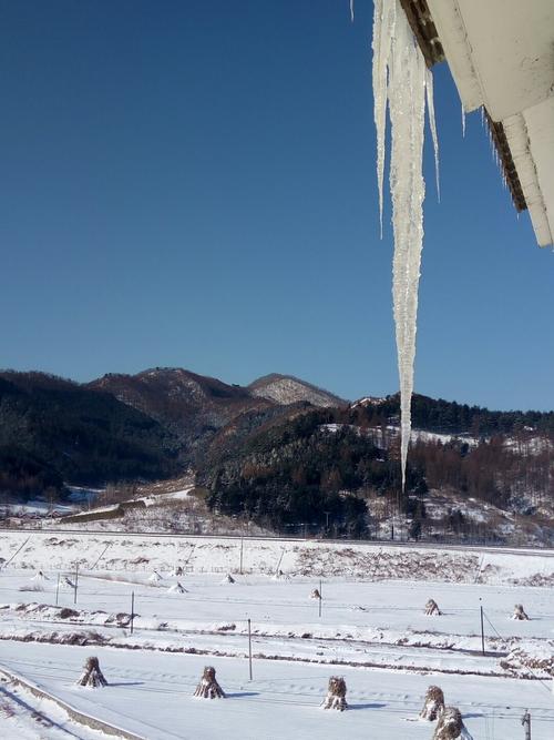 2021年11月8日本溪市雪多厚?本溪明天气温天气预报多少度-图1 2021年11月8日本溪市雪多厚?本溪明天气温天气预报多少度-图1