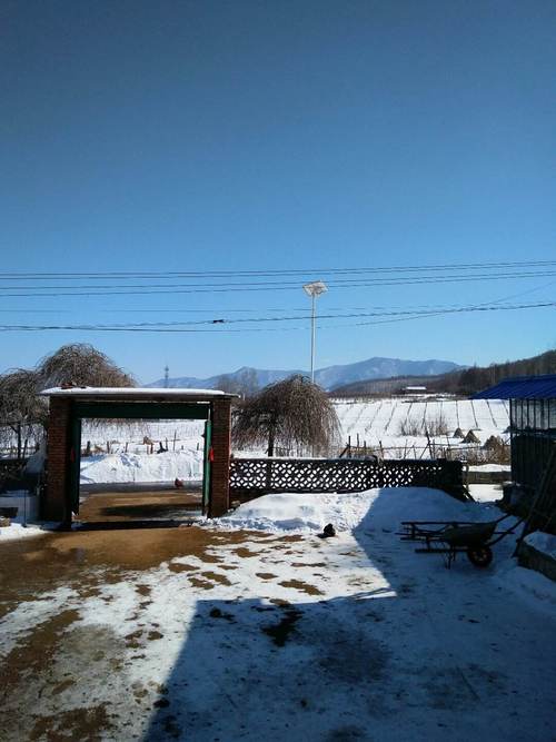 2021年11月8日本溪市雪多厚?本溪明天气温天气预报多少度-图2 2021年11月8日本溪市雪多厚?本溪明天气温天气预报多少度-图2