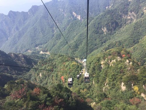 西峡县适合避暑吗?南阳老界岭的气温多少-图3 西峡县适合避暑吗?南阳老界岭的气温多少-图3