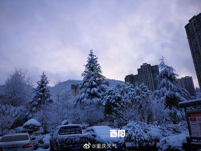 重庆今年冬天会下雪吗?九龙坡区温度是多少-图1 重庆今年冬天会下雪吗?九龙坡区温度是多少-图1