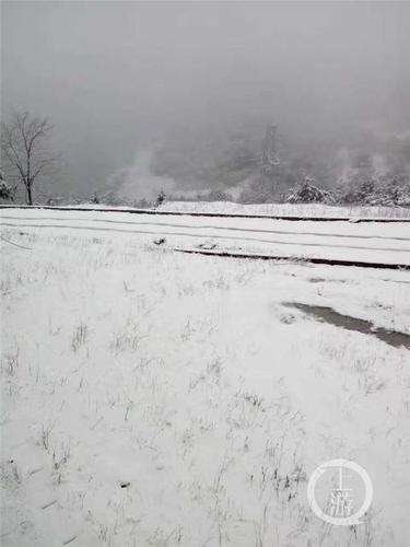 重庆今年冬天会下雪吗?九龙坡区温度是多少-图3 重庆今年冬天会下雪吗?九龙坡区温度是多少-图3