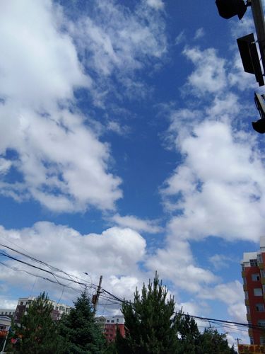 齐齐哈尔天几点亮?齐齐哈尔今天今天温度是多少钱-图2 齐齐哈尔天几点亮?齐齐哈尔今天今天温度是多少钱-图2