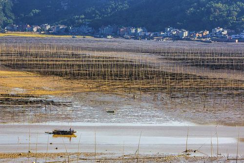 霞浦文案?霞浦县冬天最低温度多少-图3 霞浦文案?霞浦县冬天最低温度多少-图3