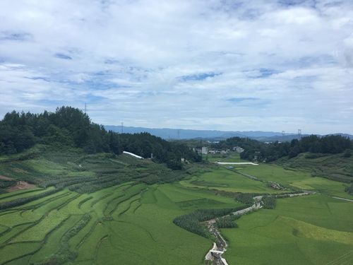 利川市气候特征？利川现在气温多少度-图2