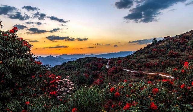 大方海拔高度是多少米?今天黔西温度是多少度-图1 大方海拔高度是多少米?今天黔西温度是多少度-图1