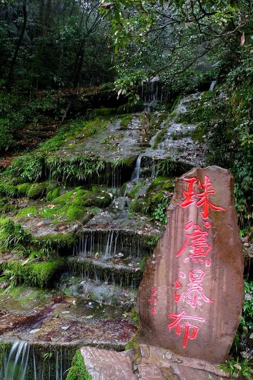 雅安碧峰峡八月热吗?雅安周末气温多少度-图1 雅安碧峰峡八月热吗?雅安周末气温多少度-图1