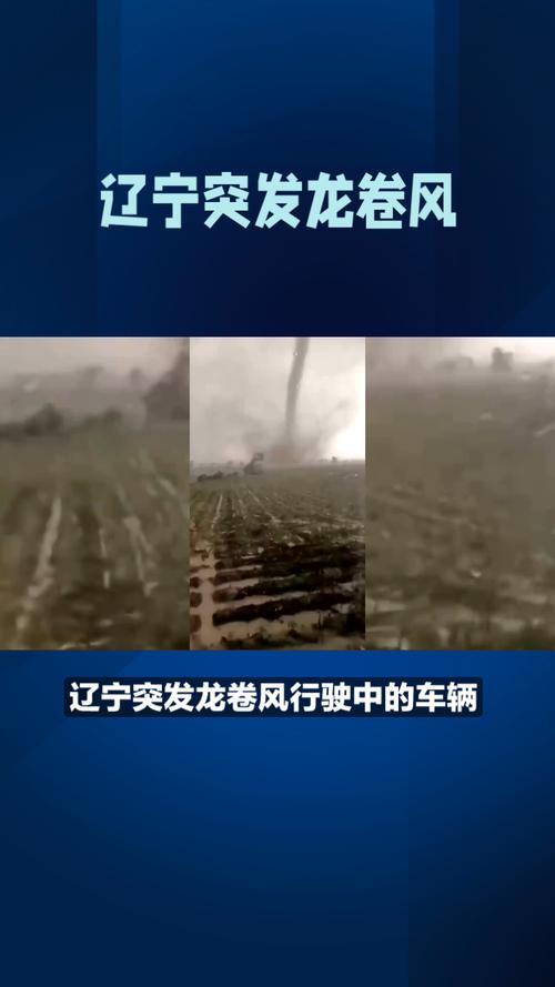 辽宁省阜新市突发龙卷风细河区有吗?今日沈阳明天气压是多少-图1 辽宁省阜新市突发龙卷风细河区有吗?今日沈阳明天气压是多少-图1