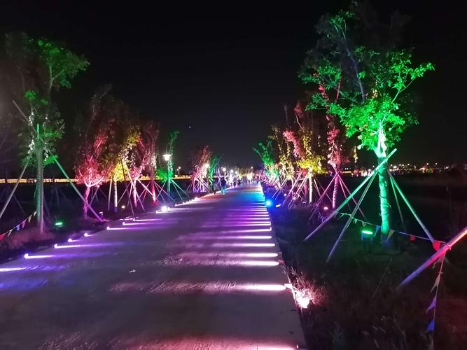 湿地公园灯光夜景最晚几点?现在湿地气温多少度-图1 湿地公园灯光夜景最晚几点?现在湿地气温多少度-图1